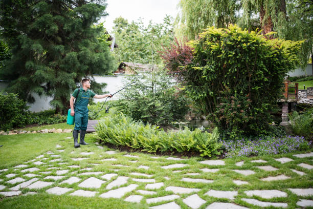  Elsmere, KY Pest Control Pros