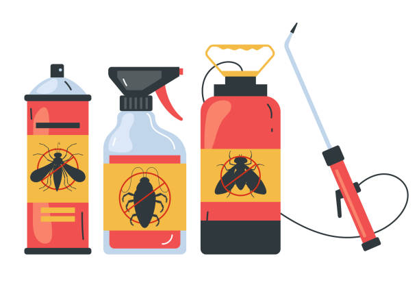 Best Cockroach Control Services  in Elsmere, KY